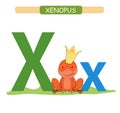 Letter X and funny cartoon xenopus. Animals alphabet a-z. Cute zoo alphabet in vector for kids learning English vocabulary. Printa